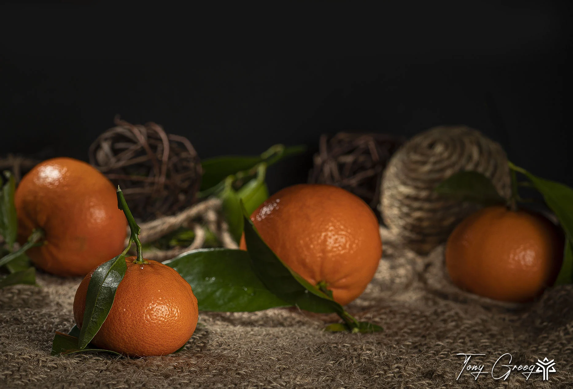 Harvest Still Life II — commercial photography by Tony Greeg